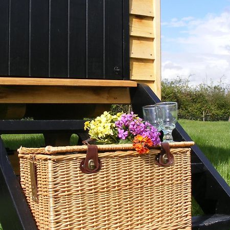 Marshwood Farm B&B And Shepherds Hut Dinton  Екстериор снимка