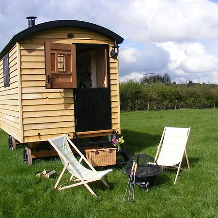Marshwood Farm B&B And Shepherds Hut Dinton  Екстериор снимка