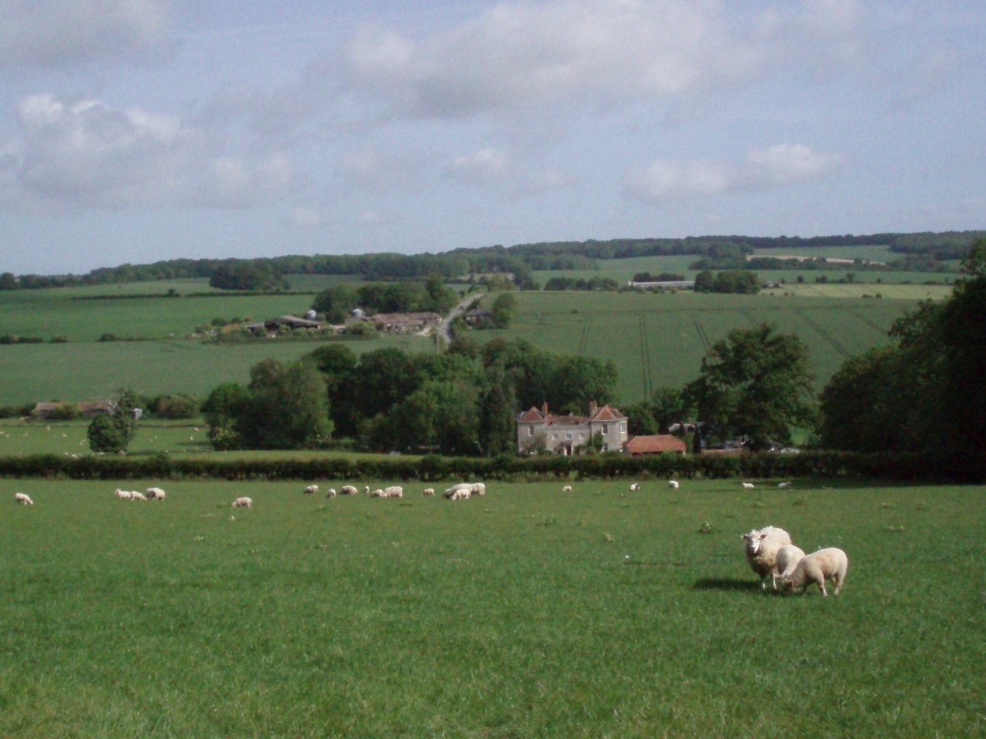 Marshwood Farm B&B And Shepherds Hut Dinton  Екстериор снимка